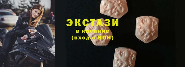 стаф Алзамай