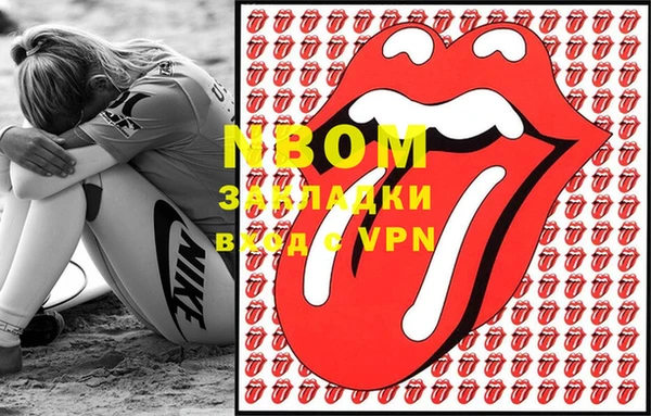стаф Алзамай