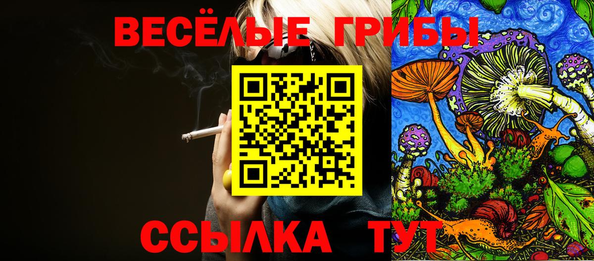 Нефтекамск  Псилоцибиновые грибы ЛСД  Вход с VPN 