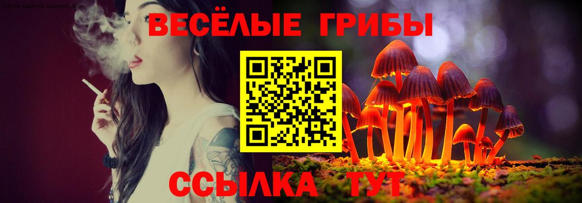 Псилоцибиновые грибы Psilocybine cubensis  Псилоцибиновые грибы MAGIC MUSHROOMS  Вход с VPN  Нефтекамск 
